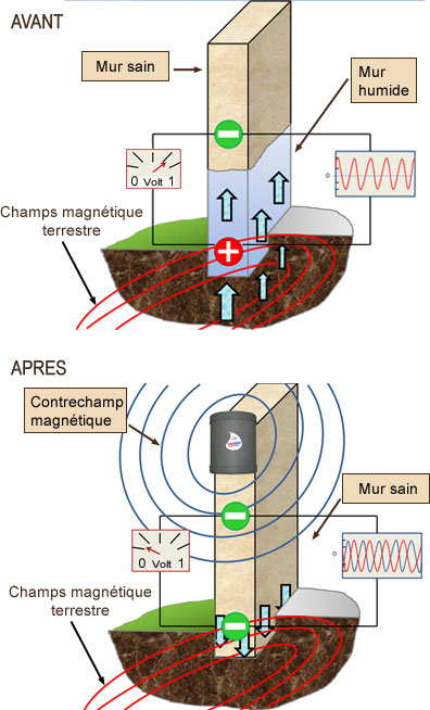 fonctionnement de l\'asschement de mur naturel 