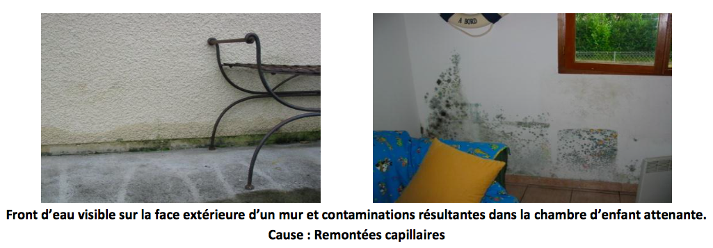 Moisissure sur le mur : principales causes et solutions efficaces !