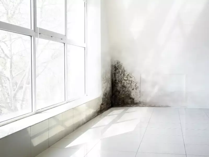 Nettoyage et d&eacute;contamination moisissures