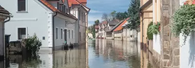  Télé-diagnostic et audit d'une pathologie de l'habitat