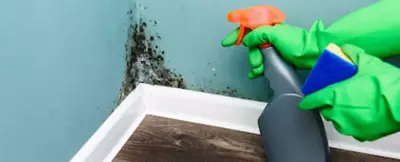 J'ai des moisissures dans mon logement